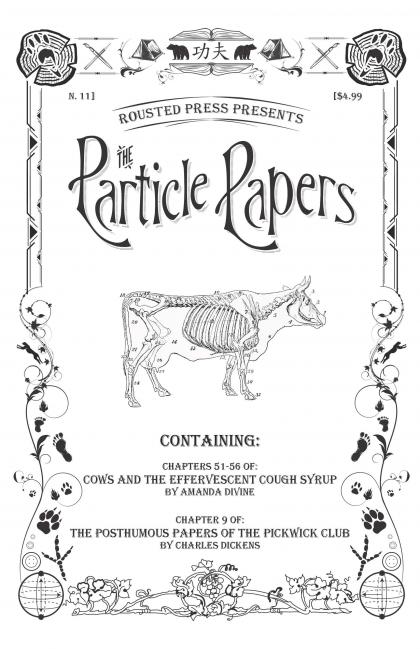 The Particle Papers, Issue 11