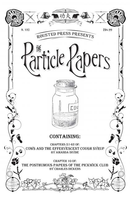 The Particle Papers, Issue 12