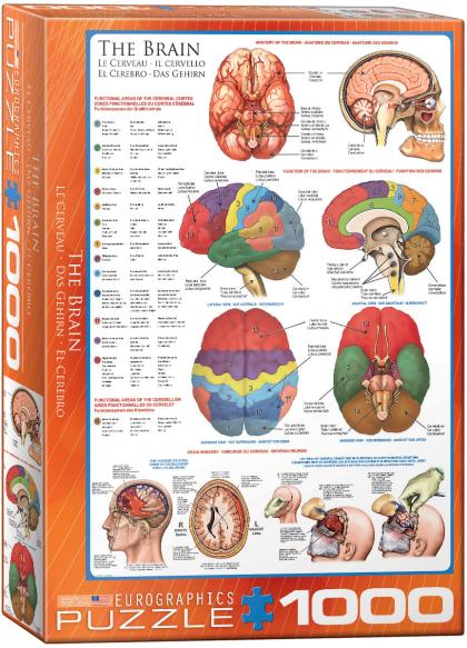 The Brain, 1000 Piece Puzzle