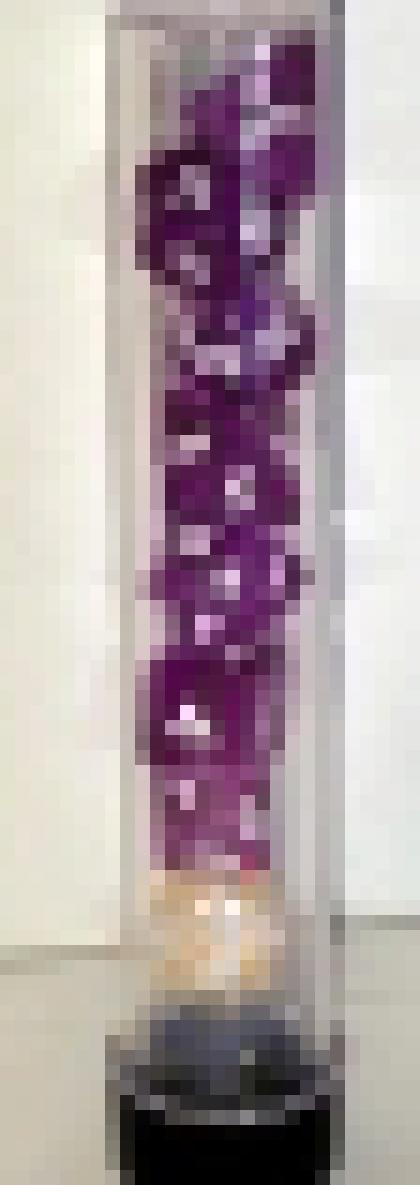 Sirius: Translucent Purple Resin - RPG Dice Set [7]