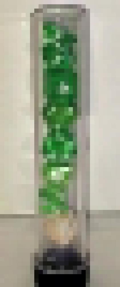Sirius: Translucent Green Resin - RPG Dice Set [7]