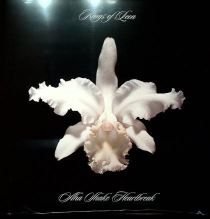 Aha Shake Heartbreak (2LP)