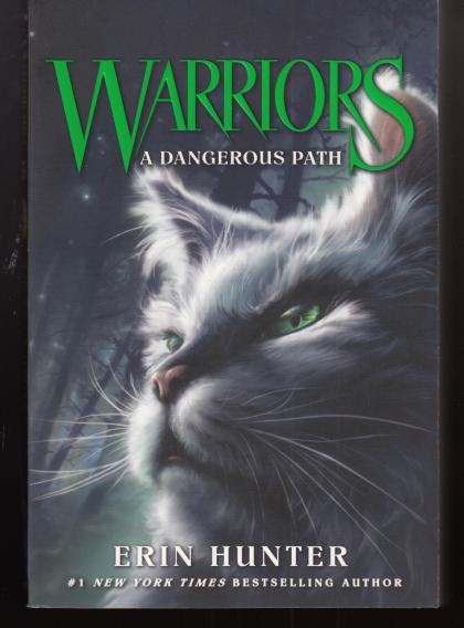 A Dangerous Path