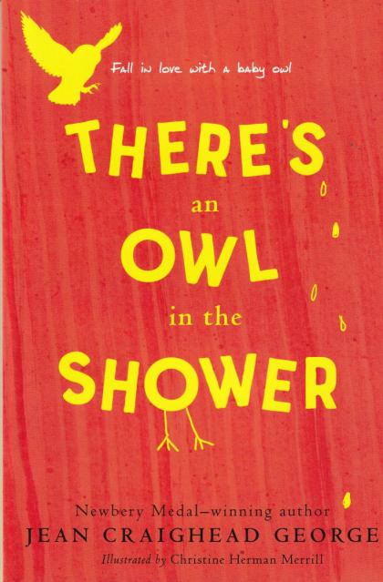 There's an Owl in the Shower