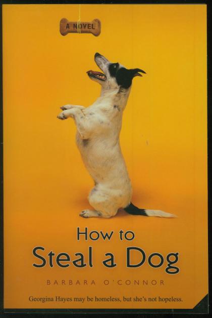 How to Steal a Dog