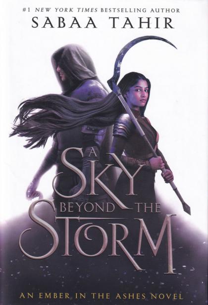 A Sky Beyond the Storm