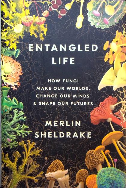 Entangled Life: How Fungi Make Our Worlds, Change Our Minds & Shape Our Futures