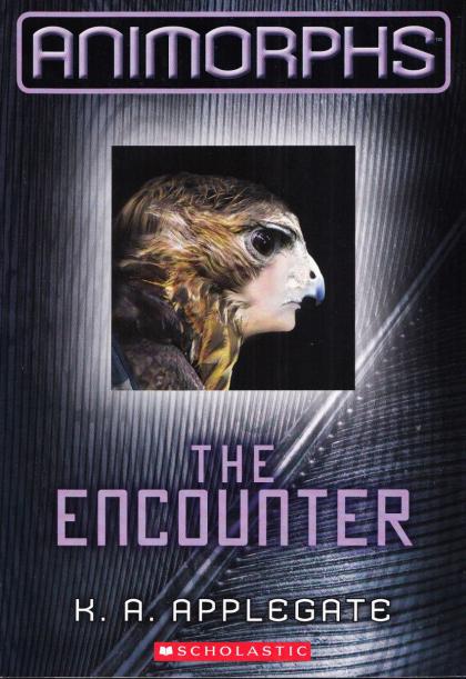 The Encounter