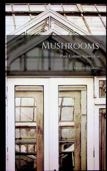 Mushrooms: Guide To Mushroom Culture