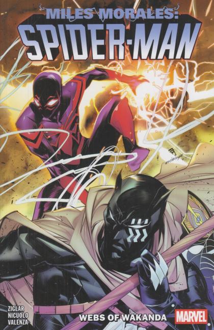Webs of Wakanda