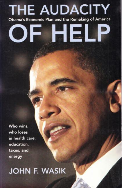 The Audacity of Help: Obama's Economic Plan and the Remaking of America