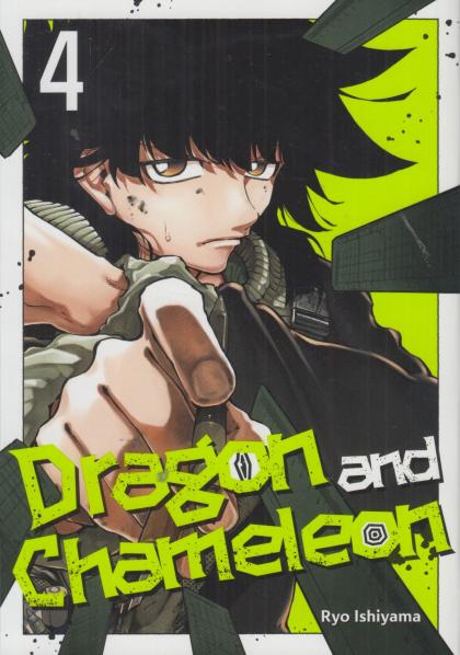Dragon and Chameleon