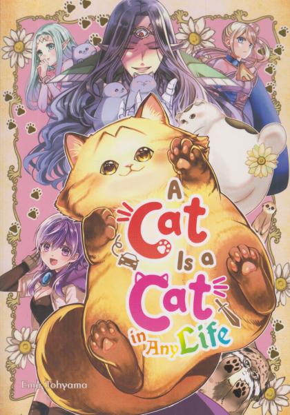 A Cat is a Cat in Any Life