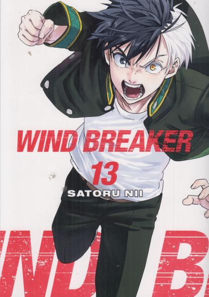 Wind Breaker