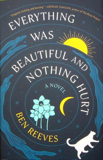 Everything Was Beautiful and Nothing Hurt