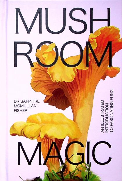 Mushroom Magic: An Illustrated Introduction to Fascinating Fungi