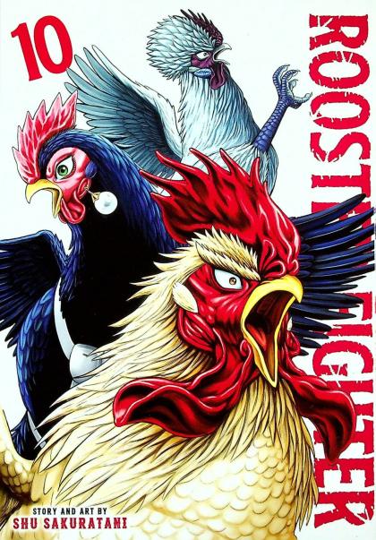 Rooster Fighter