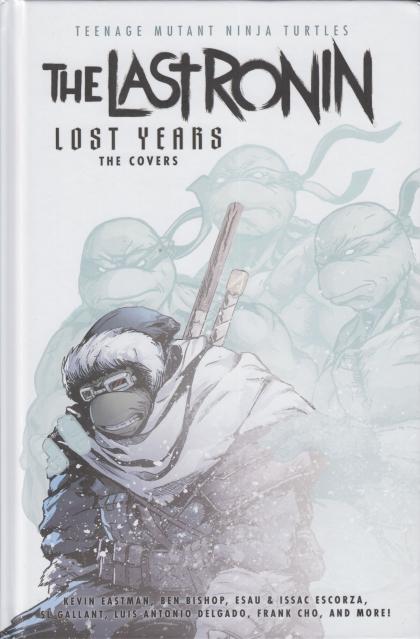 The Last Ronin: Lost Years - The Covers