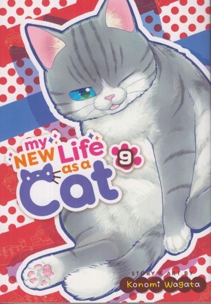 My New Life as a Cat