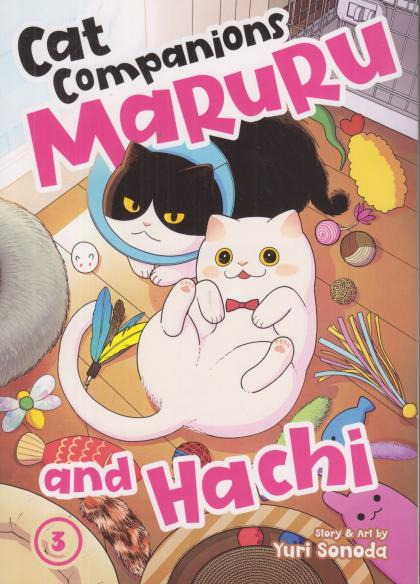 Cat Companions Maruru and Hachi