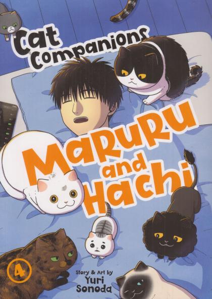 Cat Companions Maruru and Hachi