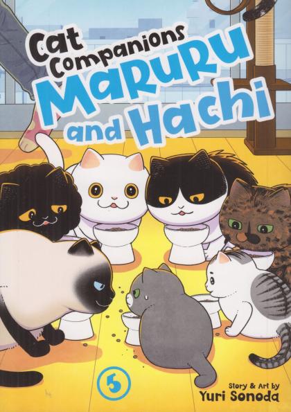 Cat Companions Maruru and Hachi
