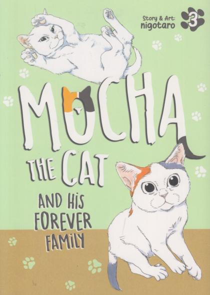 Mocha the Cat: And His Forever Family