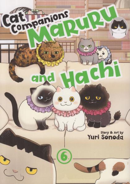 Cat Companions Maruru and Hachi