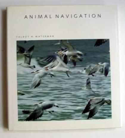 Animal Navigation