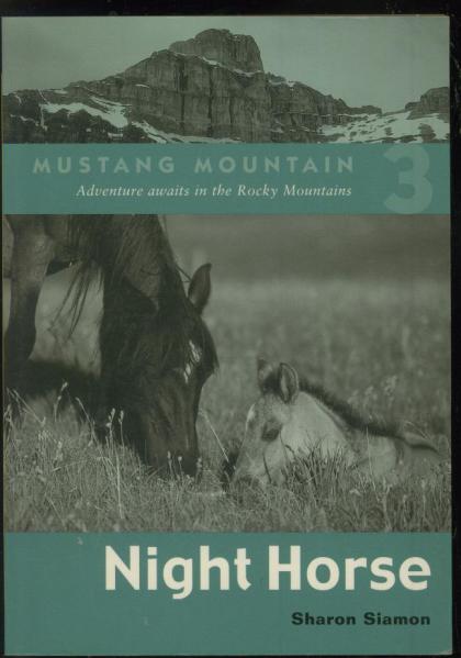 Mustang Mountain #3: Night Horse