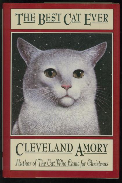 The Best Cat Ever