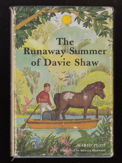 The Runaway Summer of Davie Shaw