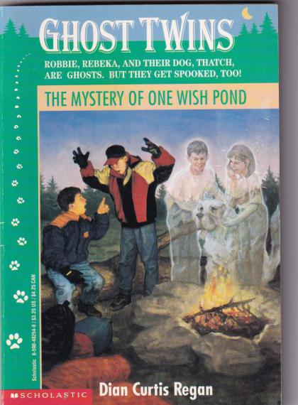 The Mystery of One Wish Pond