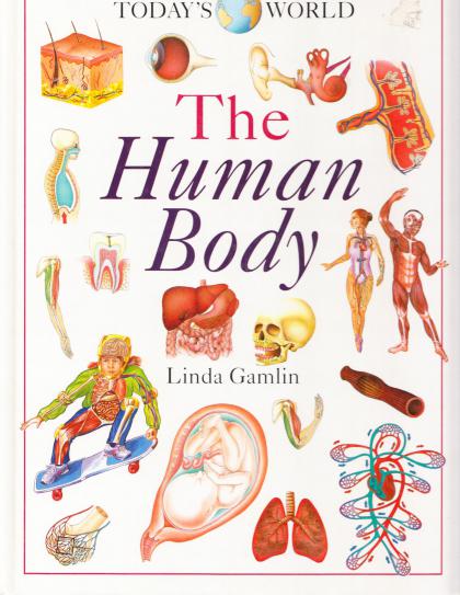 The Human Body