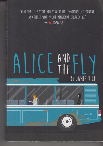 Alice and the Fly