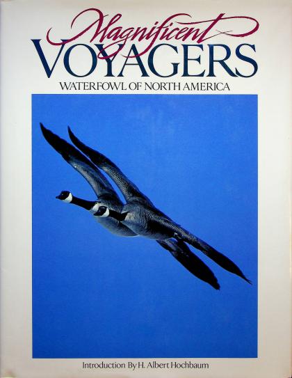 Magnificent Voyages: Waterfowl of North America