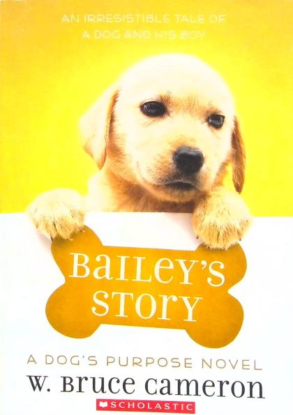 Bailey's Story