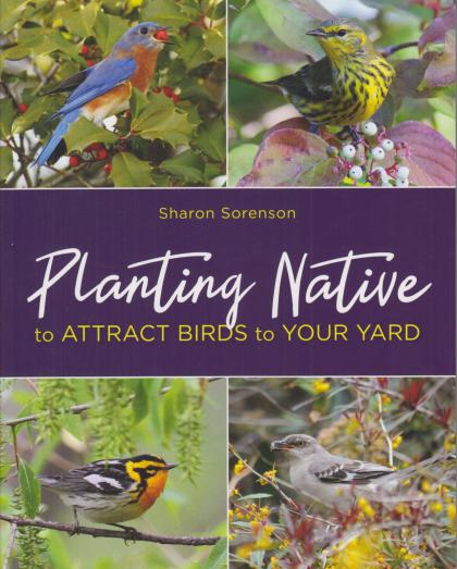 Planting Nature to Attract Birds to Your Yard