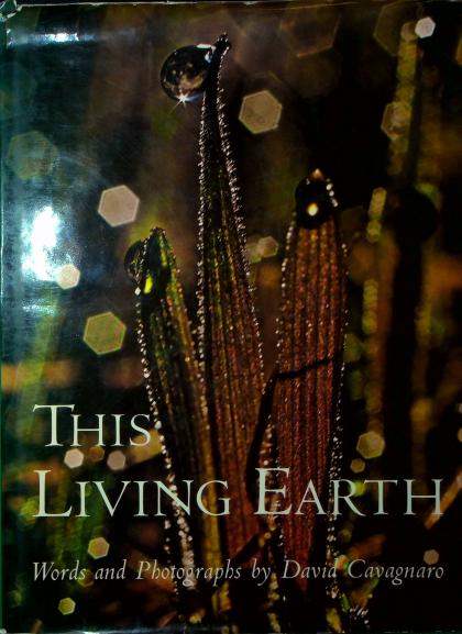 This Living Earth