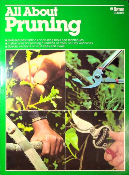 All About Pruning