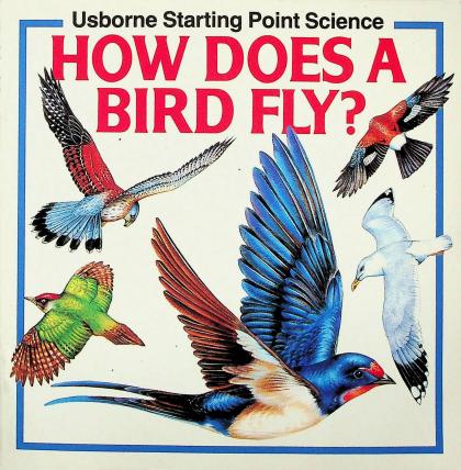 How Does a Bird Fly?