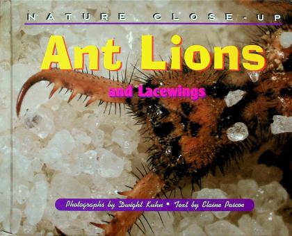 Ant Lions and Lacewings