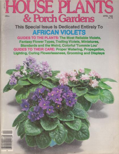 House Plants & Porch Gardens: African Violets
