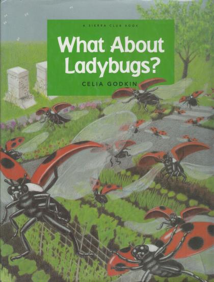 What About Ladybugs?