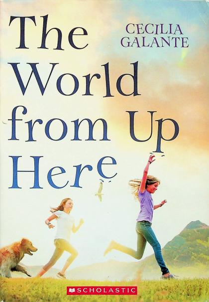 The World from Up Here