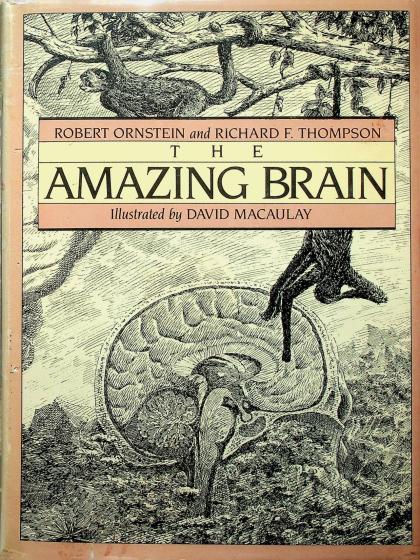 The Amazing Brain