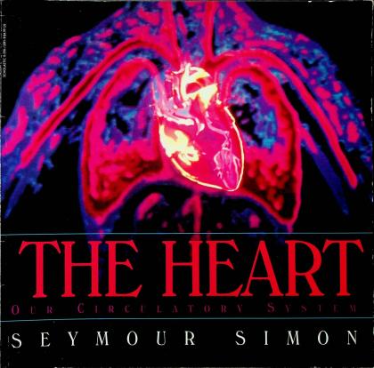The Heart: Our Circulation System
