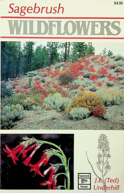 Sagebrush Wildflowers