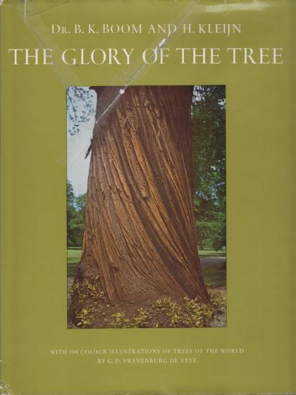 The Glory of the Tree