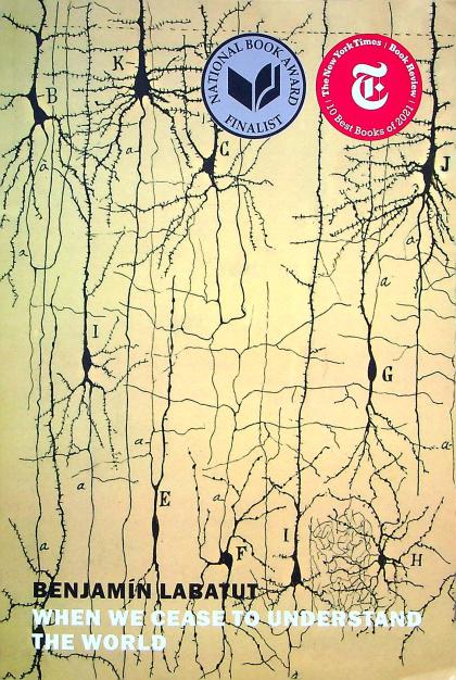 When We Cease To Understand The World